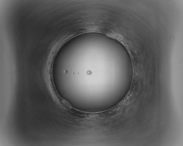 X0000101950097200807251142