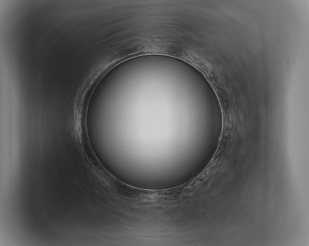 X0000101950098200807251142