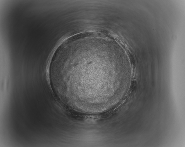 X0000101950099200807251142