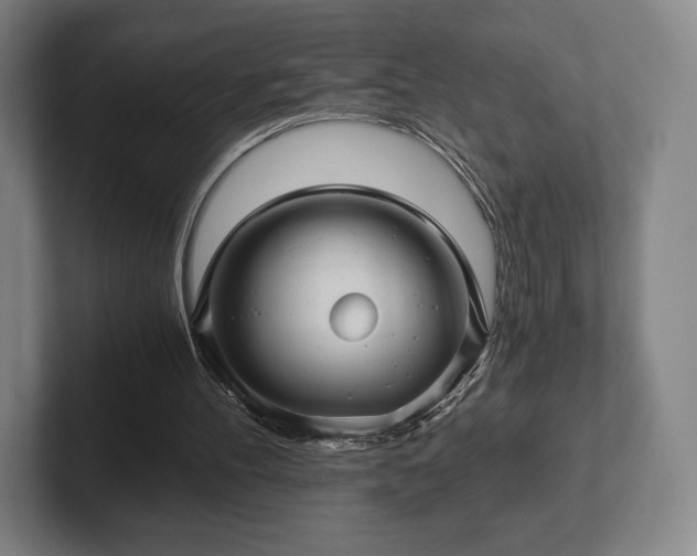 X0000101950100200807251142