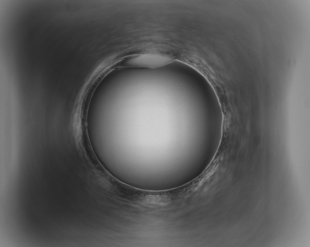 X0000101950101200807251142