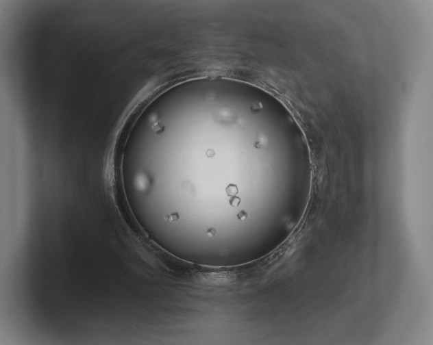 X0000101950102200807251142