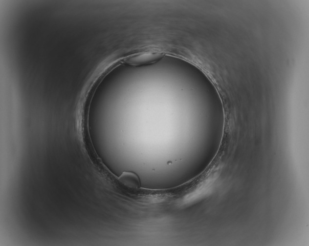 X0000101950103200807251142