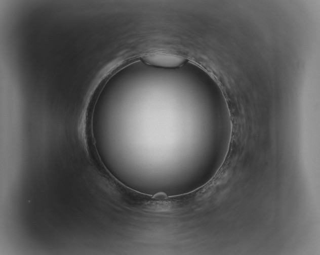 X0000101950104200807251142