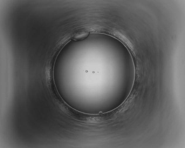 X0000101950105200807251142