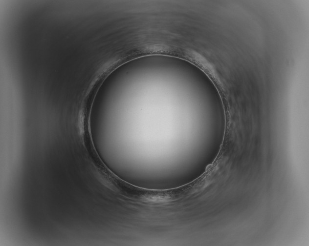 X0000101950106200807251142