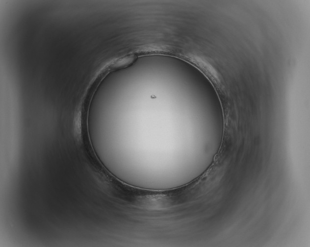 X0000101950108200807251142