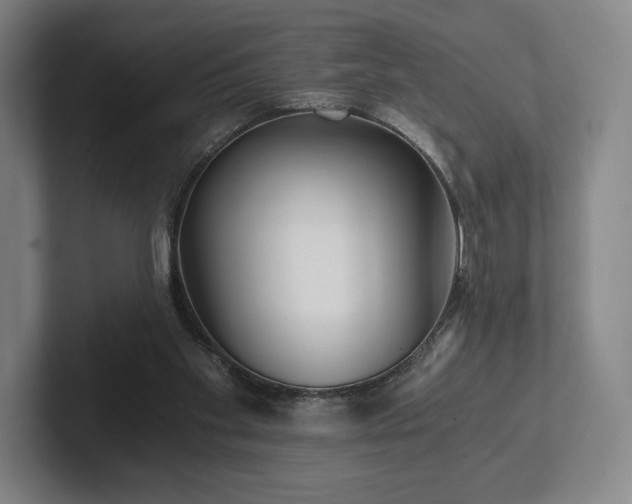 X0000101950109200807251142