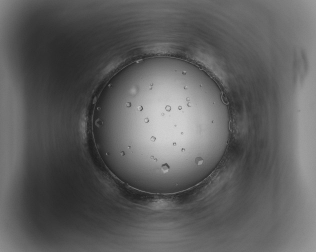 X0000101950111200807251142