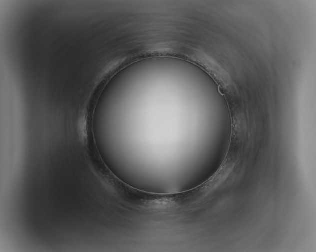 X0000101950112200807251142