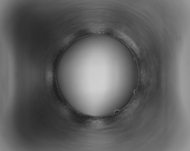 X0000101950113200807251142