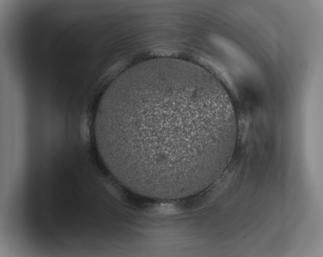 X0000101950114200807251142