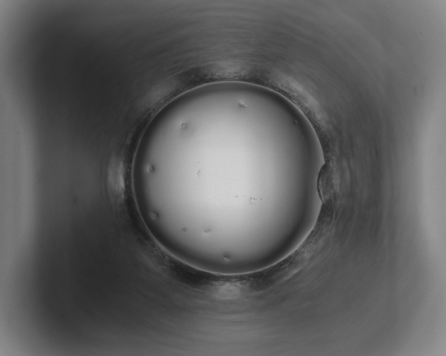 X0000101950115200807251142