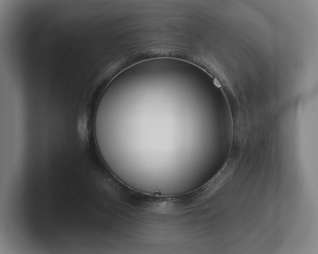 X0000101950116200807251142