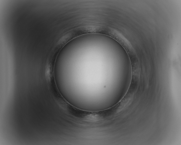 X0000101950119200807251142