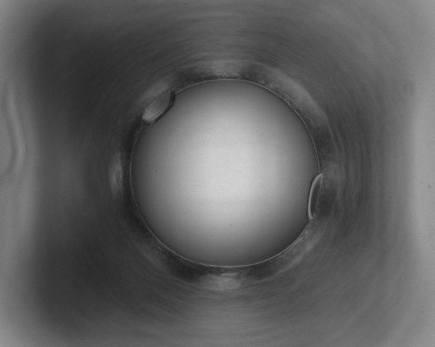 X0000101950120200807251142