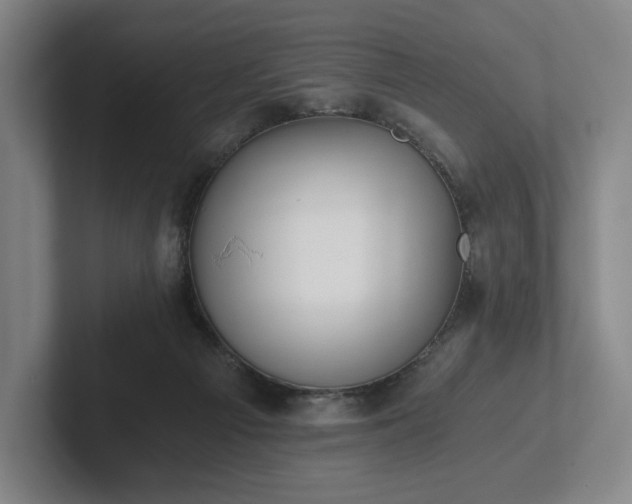 X0000101950121200807251142