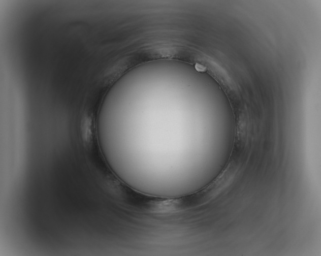 X0000101950122200807251142