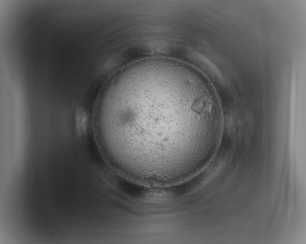 X0000101950123200807251142
