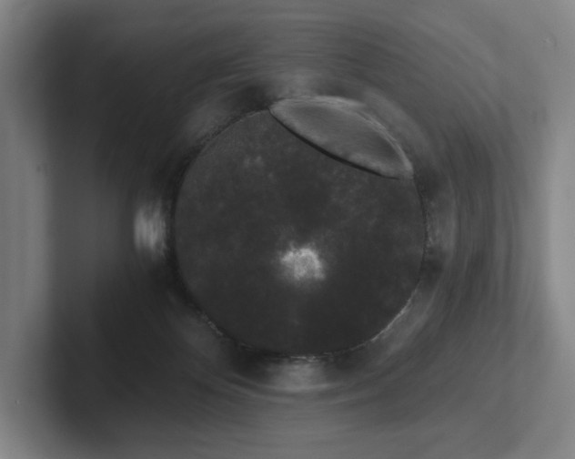 X0000101950124200807251142