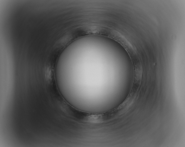 X0000101950126200807251142