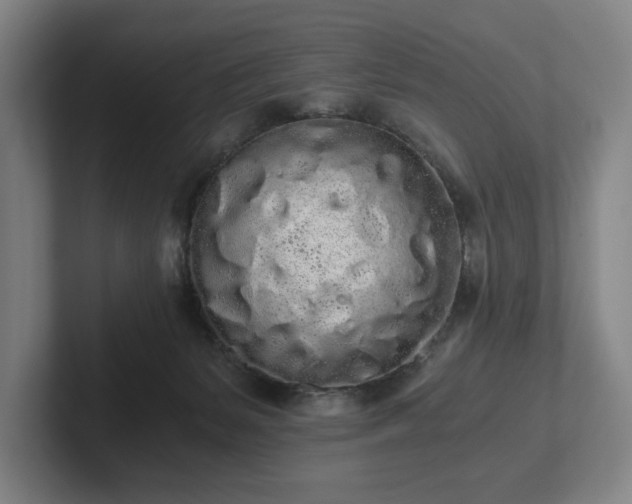 X0000101950127200807251142