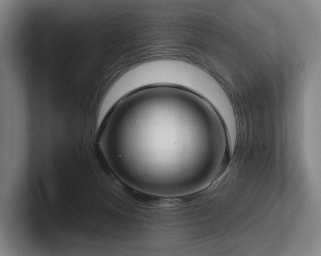 X0000101950128200807251142