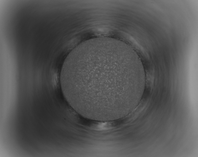 X0000101950130200807251142