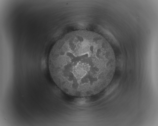 X0000101950131200807251142