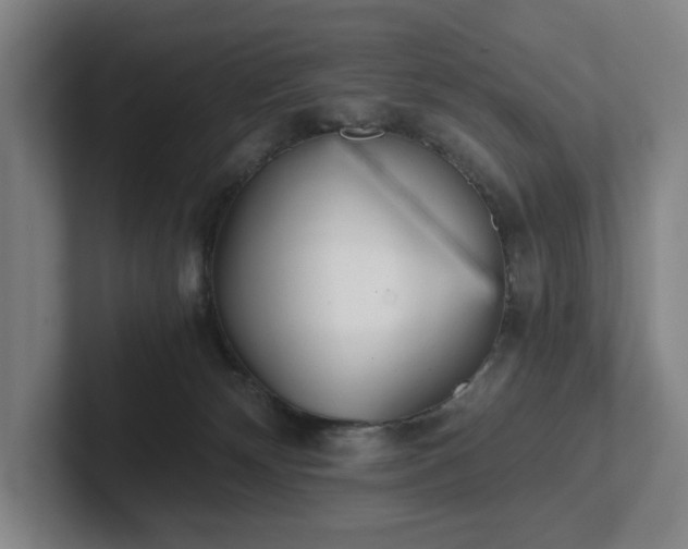 X0000101950132200807251142