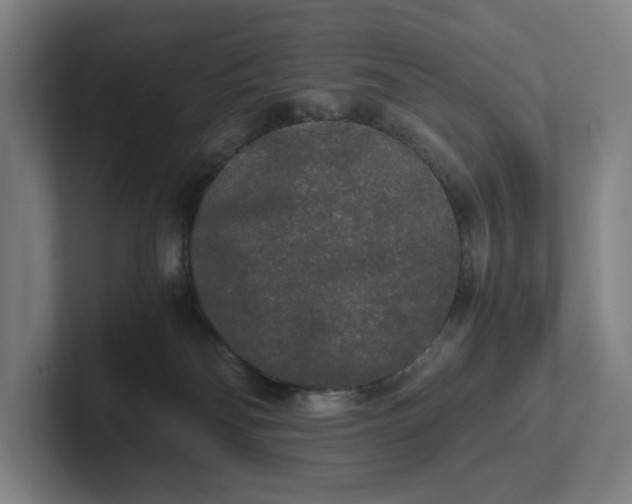 X0000101950134200807251142