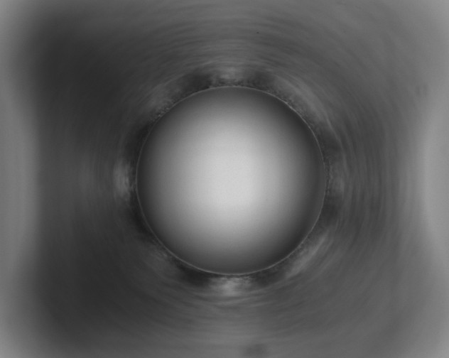 X0000101950135200807251142