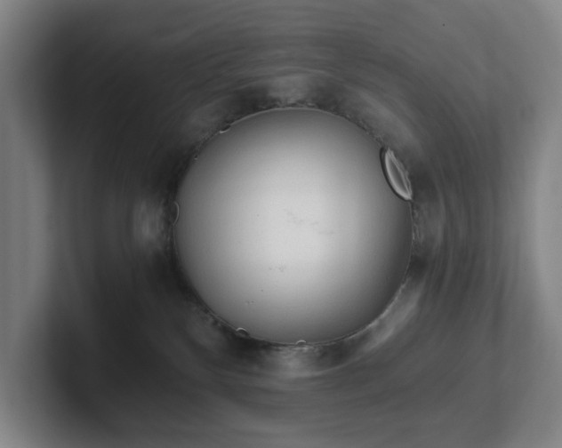 X0000101950136200807251142