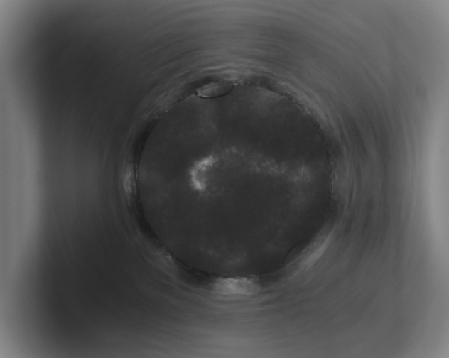 X0000101950137200807251142