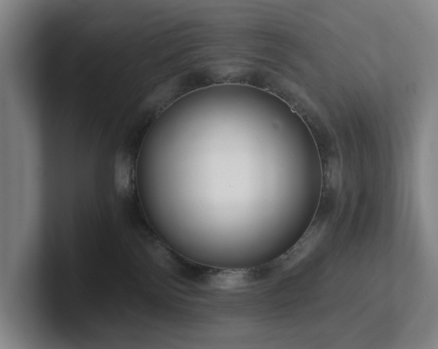 X0000101950138200807251142