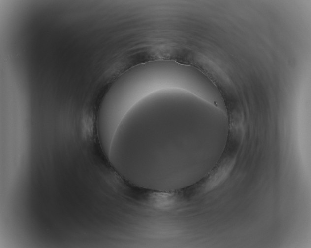 X0000101950139200807251142