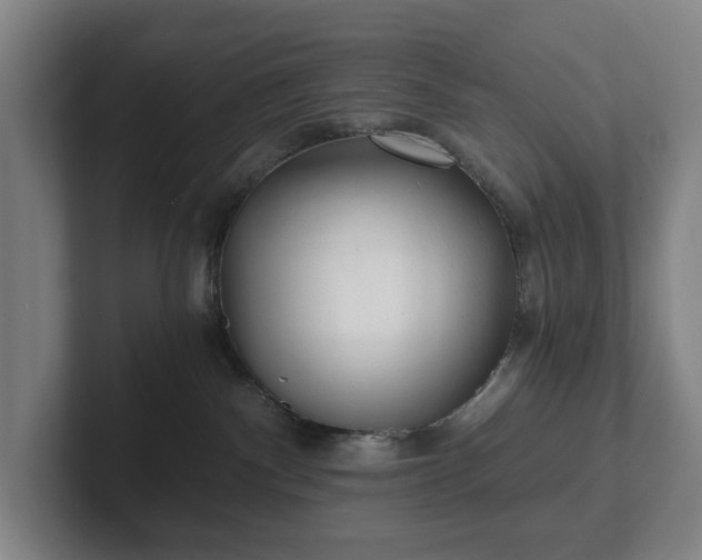 X0000101950140200807251142