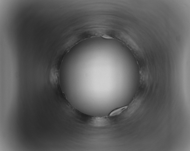 X0000101950141200807251142