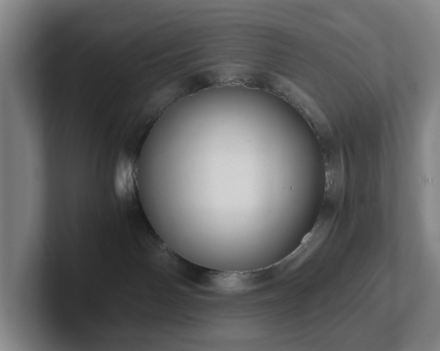 X0000101950142200807251142