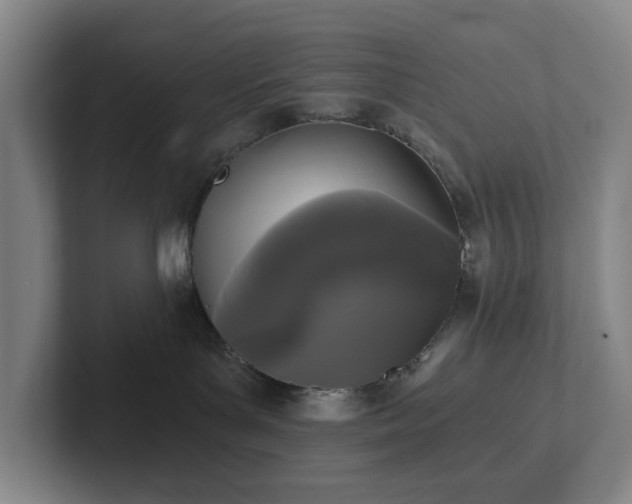 X0000101950143200807251142