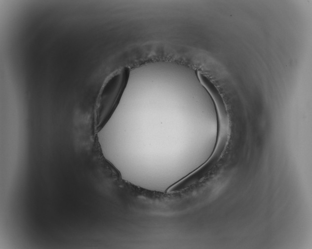 X0000101950144200807251142