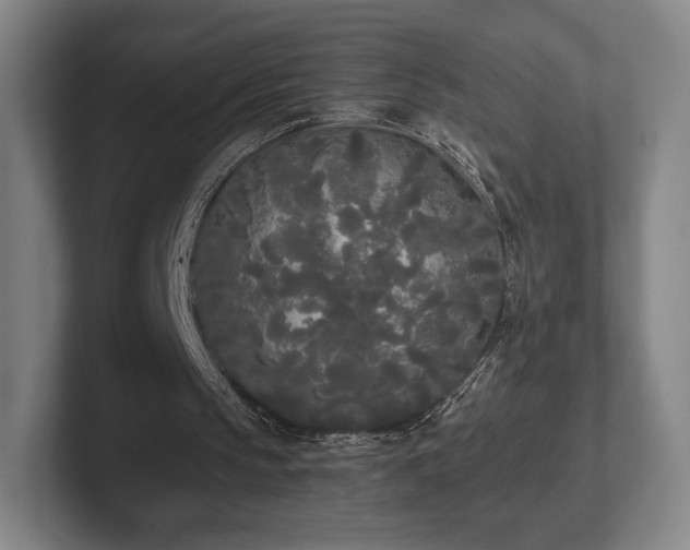 X0000101950145200807251141