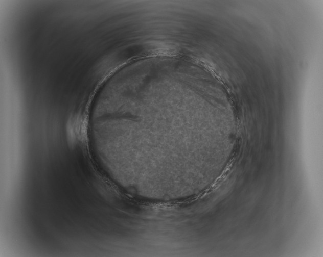 X0000101950146200807251141