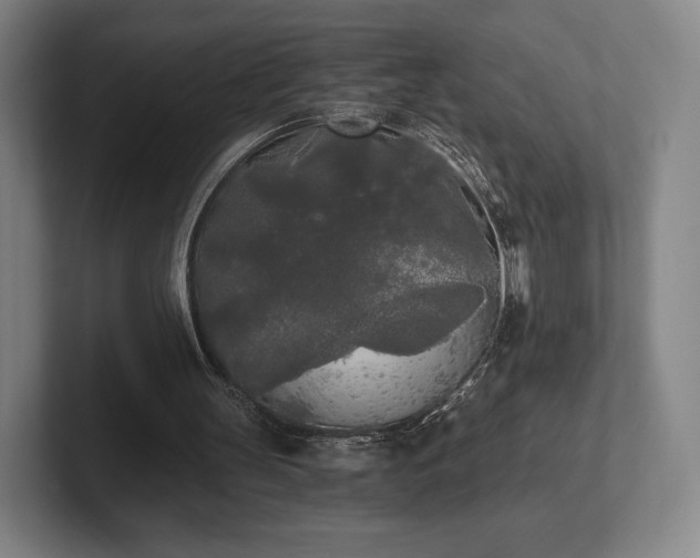 X0000101950147200807251141