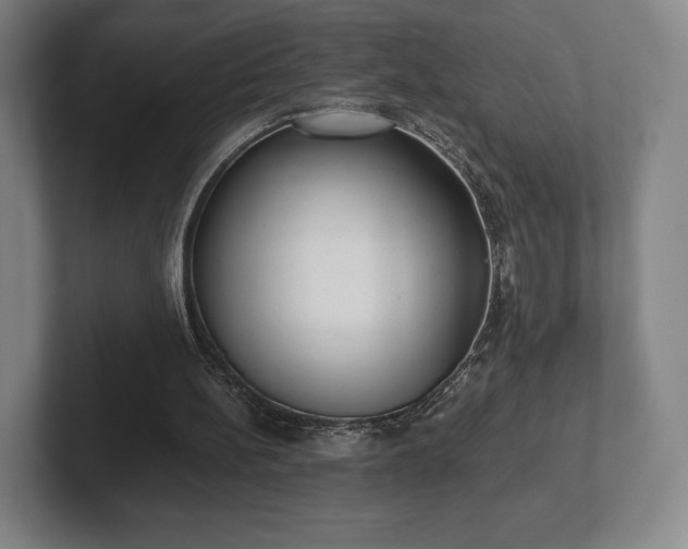 X0000101950148200807251141