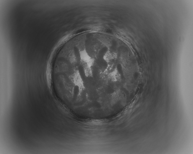 X0000101950149200807251141