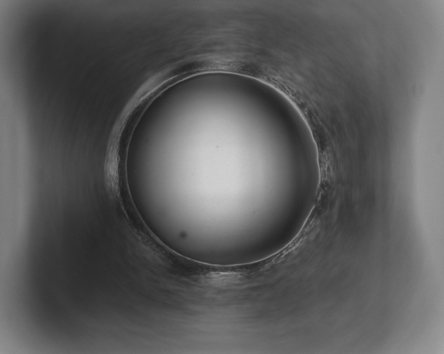 X0000101950150200807251141