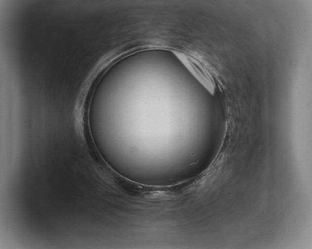 X0000101950151200807251141