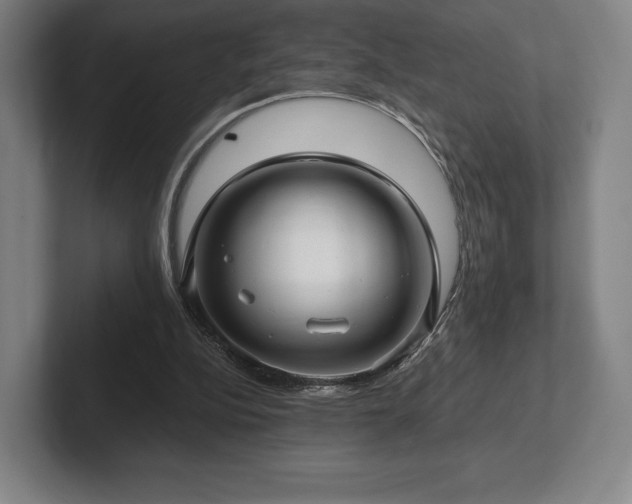 X0000101950152200807251141