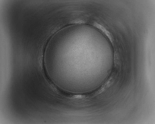 X0000101950153200807251141